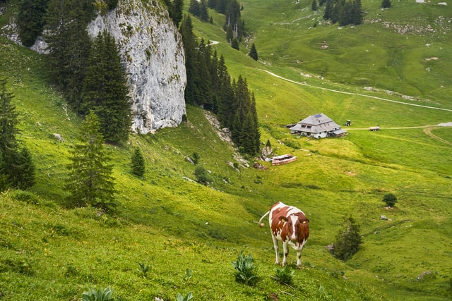 Landwirtschaft - Bioma